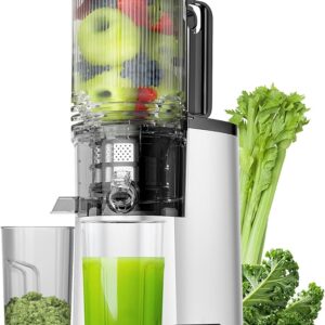 Limited time deals 27% off Slow Masticating Juicer for Whole Vegetables & Fruits