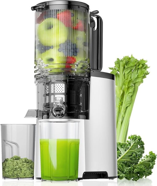 Limited time deals 27% off Slow Masticating Juicer for Whole Vegetables & Fruits